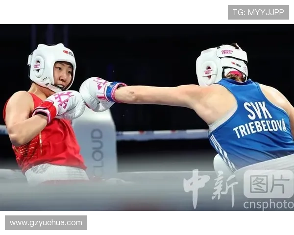 (体育)拳击——世界女子锦标赛：中国队总成绩排名第四.